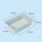 Ящик для рассады, 40×25×10 см, 5 л, пластик, цвет МИКС, «Урожай-4 М» - Фото 2