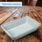 Ящик для рассады, 40×25×10 см, 5 л, пластик, цвет МИКС, «Урожай-4 М» - Фото 3