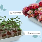 Ящик для рассады, 40×25×10 см, 5 л, пластик, цвет МИКС, «Урожай-4 М» - Фото 4