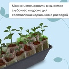 Ящик для рассады, 36×14×9 см, 3 л, пластик, чёрный - Фото 4