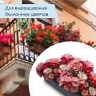 Ящик для рассады, 36×14×9 см, 3 л, пластик, чёрный - Фото 5