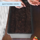 Ящик для рассады, 36×14×9 см, 3 л, пластик, чёрный - Фото 7