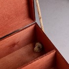 Подарочный ящик 34×21.5×10.5 см деревянный 3 отдела, с крышкой, светло-коричневый - фото 9912885
