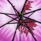 Зонт механический «Цветы», 3 сложения, 8 спиц, R = 44 см, цвет розовый/белый - Фото 3