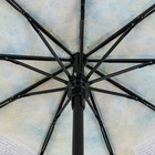 Зонт автоматический «Париж», 3 сложения, 9 спиц, R = 51 см - Фото 3