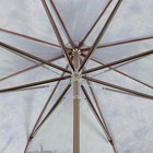 Зонт полуавтоматический «Париж», 8 спиц, R = 50 см - Фото 3