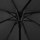 Зонт полуавтоматический, 3 сложения, 8 спиц, R = 47 см, цвет чёрный - Фото 3