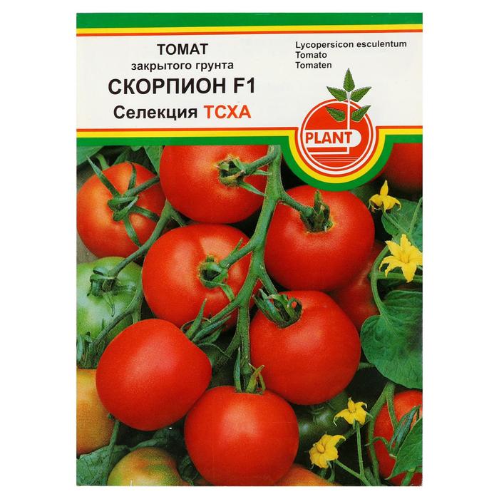 Томаты цыпочка описание и отзывы фото