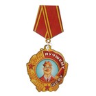 Магнит "Медаль шефу" 6х9 см - Фото 1