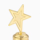 Кубок наградная фигура: звезда литая «Лучший из лучших» золото, пластик, 16 см - Фото 5