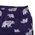 Пижама мужская KAFTAN "Bear", серый, синий, р.52-54 - Фото 6
