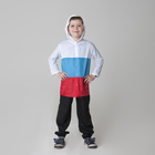 Дождевик детский "Россия", триколор, ткань плащёвая с водоотталкивающей пропиткой, рост 98-104 см - Фото 1