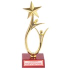 Кубок «Любимой воспитательнице», наградная фигура, люди со звездой, пластик - фото 71225202