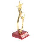Кубок «Любимой воспитательнице», наградная фигура, люди со звездой, пластик - Фото 2