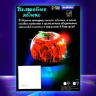 Пазл 3D кристаллический «Яблоко», 45 деталей, МИКС - Фото 7