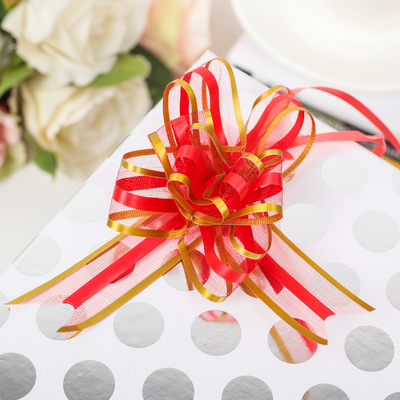 Бант-бабочка №2.5