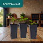 Горшок для рассады, 600 мл, 8×8×15 см, пластик, МИКС, Greengo - Фото 3