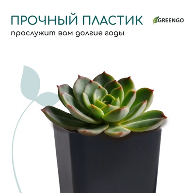 Горшок для рассады, 600 мл, 8×8×15 см, пластик, МИКС, Greengo