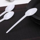 Ложка одноразовая «Стандарт», пластик, 16 см, столовая, белая - Фото 2