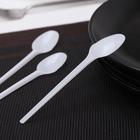 Ложка одноразовая «Стандарт», пластик, 12.5 см, чайная, белая - Фото 2