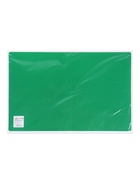 Папка с 60 вкладышами А4, 500 мкм, Calligrata, текстура "песок", зелёная - фото 809629417