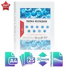 Файл - вкладыш Calligrata, А4, 30 мкм, глянцевый, вертикальный, 25 штук - Фото 1
