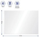 Файл-вкладыш А3, 30 мкм, Calligrata, глянцевый, горизонтальный, 50 штук - Фото 2