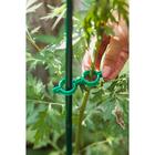 Клипса садовая, d=20 мм, набор 20 шт., зелёный, Greengo - Фото 6