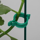 Клипса садовая, d = 20 мм, набор 100 шт., зелёный, Greengo - Фото 5