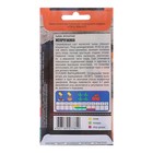 Семена Тыква "Жемчужина" мускатная, 2 г - Фото 2