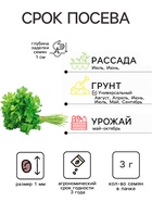 Семена Петрушка листовая «Итальянский гигант», 3 г, «Тимирязевский питомник» - Фото 2