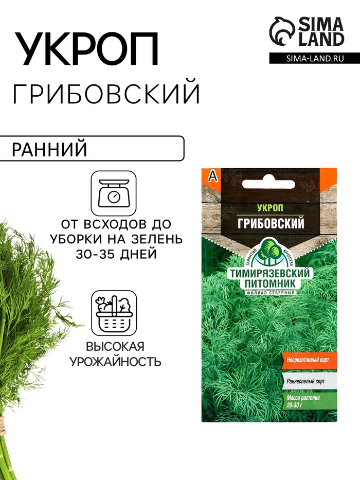 Семена Укроп "Грибовский" ранний, 3 г - Фото 1