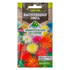 Семена цветов Георгина "Кактусовидная" смесь, О, 0,2 г - фото 11880266