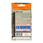 Семена Морковь "Шантенэ Роял" среднеранняя, 2 г - Фото 4