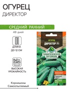 Семена огурца "Директор", F1, 4 шт. - Фото 1