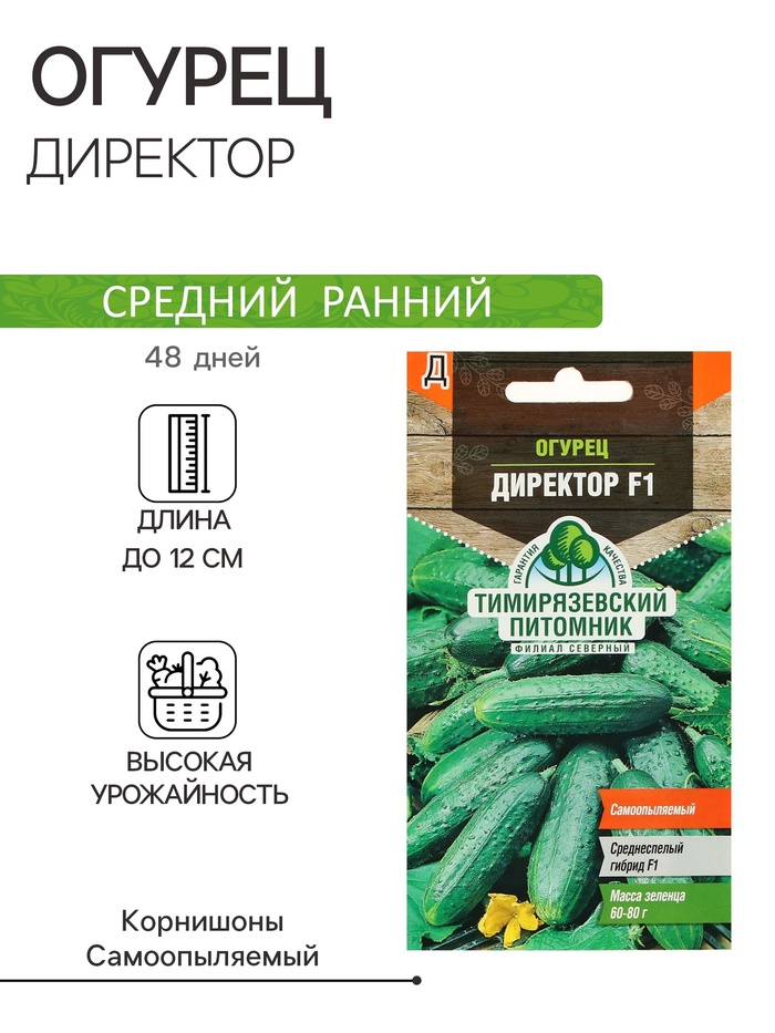 Семена огурца "Директор", F1, 4 шт. - Фото 1