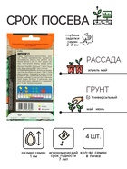 Семена огурца "Директор", F1, 4 шт. - Фото 2