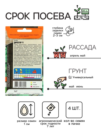Семена огурца "Директор", F1, 4 шт.