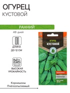 Семена Огурец «Кустовой» раннеспелый, пчелоопыляемый, 0.3 г - Фото 1