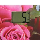 Весы напольные DELTA D-9233, электронные, до 150 кг, картинка "Розовые розы" - Фото 2