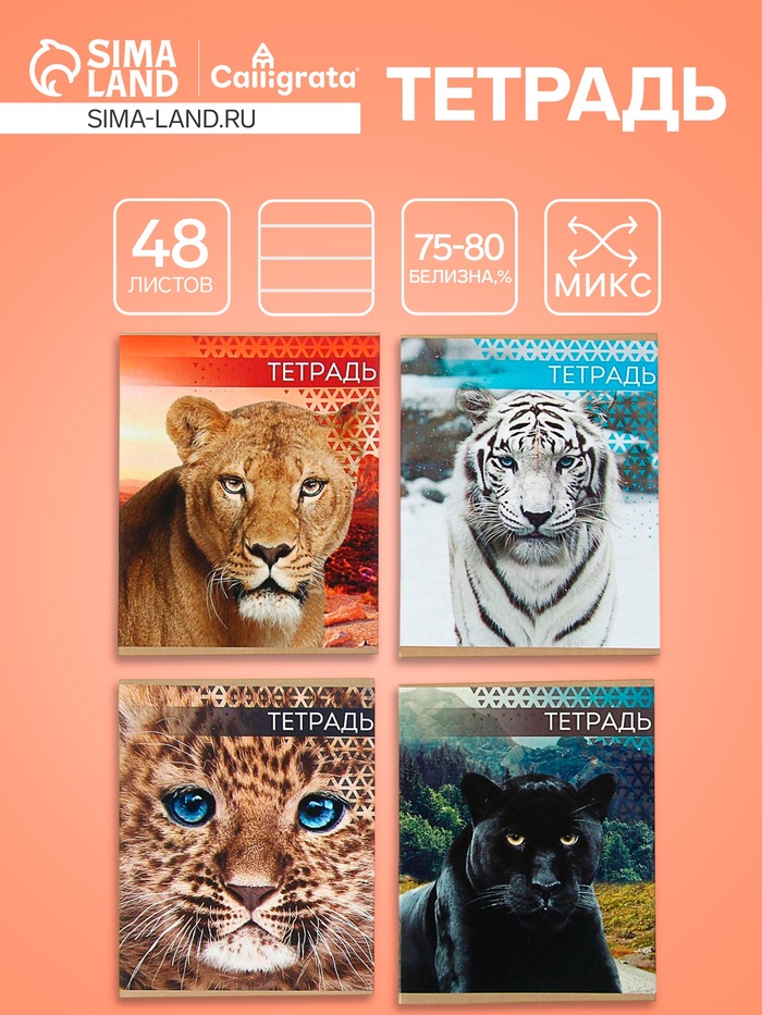 Тетрадь 48 листов в линейку, Calligrata «Дикие кошки», МИКС - Фото 1