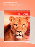 Тетрадь 48 листов в линейку, Calligrata «Дикие кошки», МИКС - Фото 2