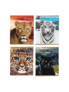 Тетрадь 48 листов в линейку, Calligrata «Дикие кошки», МИКС - Фото 4