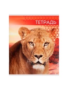 Тетрадь 48 листов в линейку, Calligrata «Дикие кошки», МИКС - Фото 3