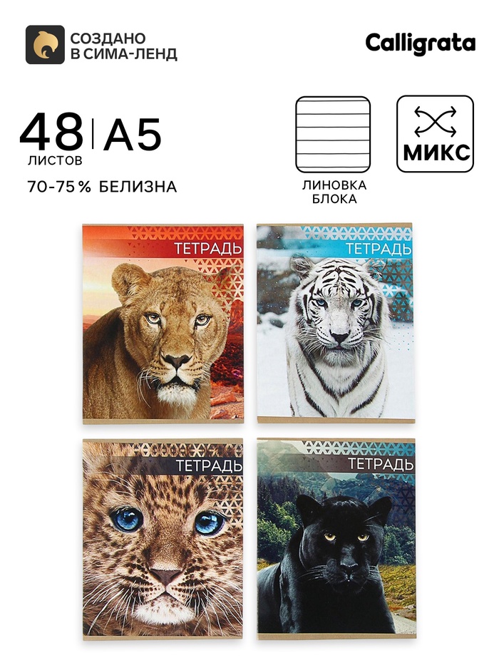 Тетрадь 48 листов в линейку, Calligrata «Дикие кошки», МИКС - Фото 1