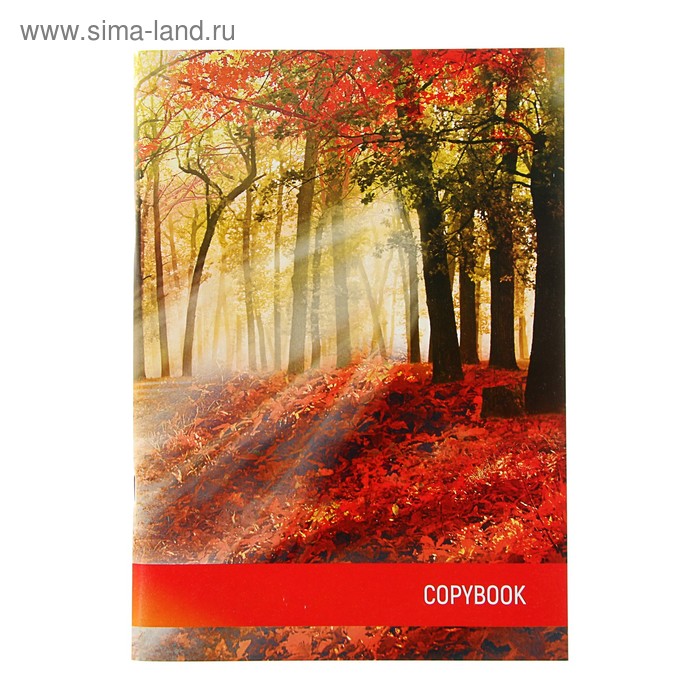 Тетрадь А4, 96 листов в клетку "Осень", обложка мелованный картон, блок офсет - Фото 1