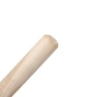 Грабли прямые, повёрнутый зубец, 16 зубцов, металл, деревянный черенок, цвет МИКС - Фото 3