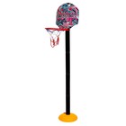 Баскетбольный набор «Баскетбол», регулируемая стойка с щитом (4 высоты: 28 см/57 см/85 см/115 см), сетка, мяч, р-р щита 34,5х25 см - Фото 2