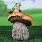 Садовая фигура "Гриб сыроежка с лягушкой", разноцветная, полистоун, 22 см - Фото 1