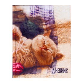 Дневник для 1-4 классов "Котёнок", твёрдая обложка, глянцевая ламинация, 48 листов